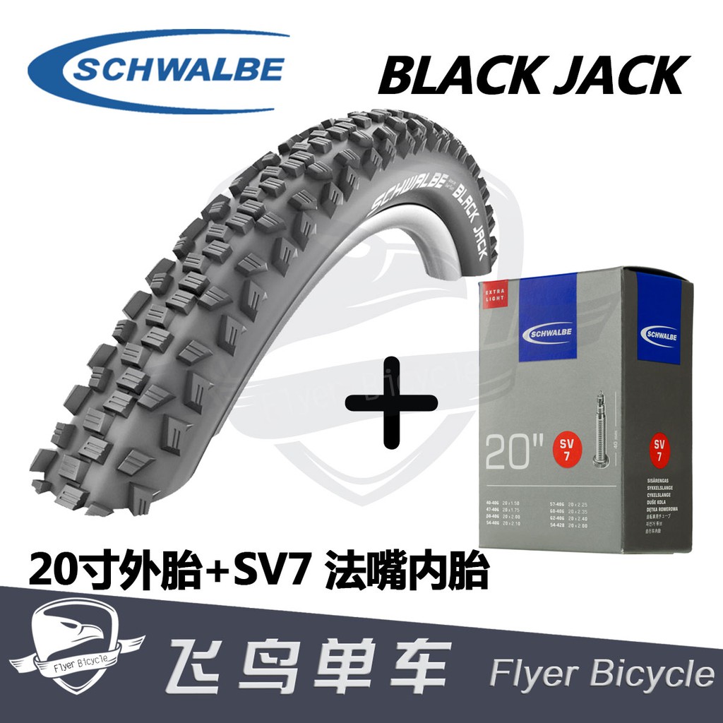 schwalbe 20 inch tires
