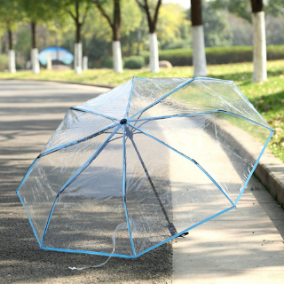 transparent rain umbrella