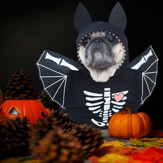 Pet Halloween Transformation Costume Cat Dog Bat Clothes with Hat Wings Three-dimensional Costumes