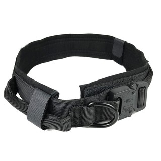 outdoor dog collars