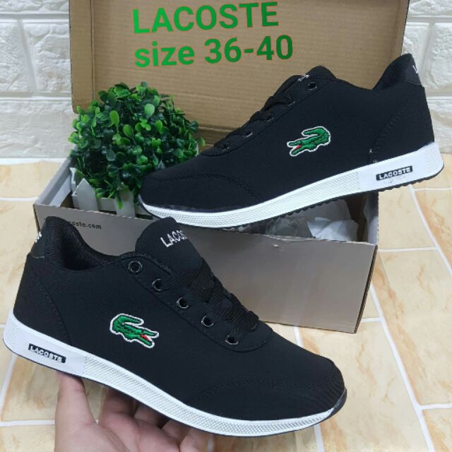 2019 lacoste shoes