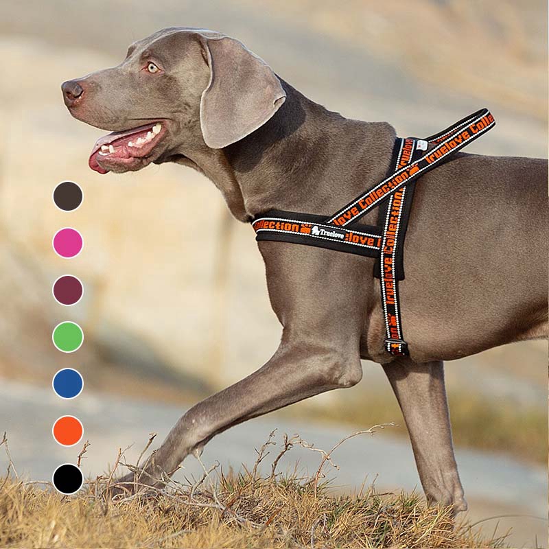 no pull collar for large dogs