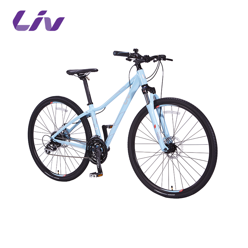 giant rove 3 disc