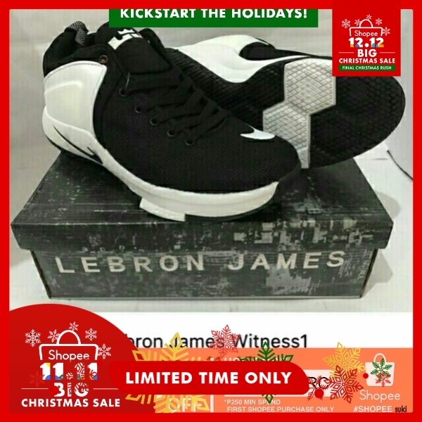 lebron james basketball shoes for sale