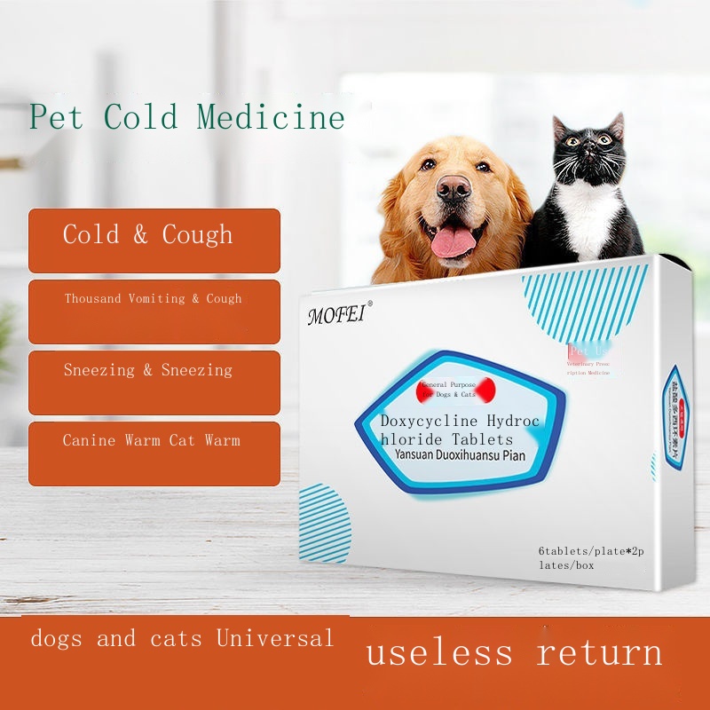 Can You Give A Dog Cold Medicine