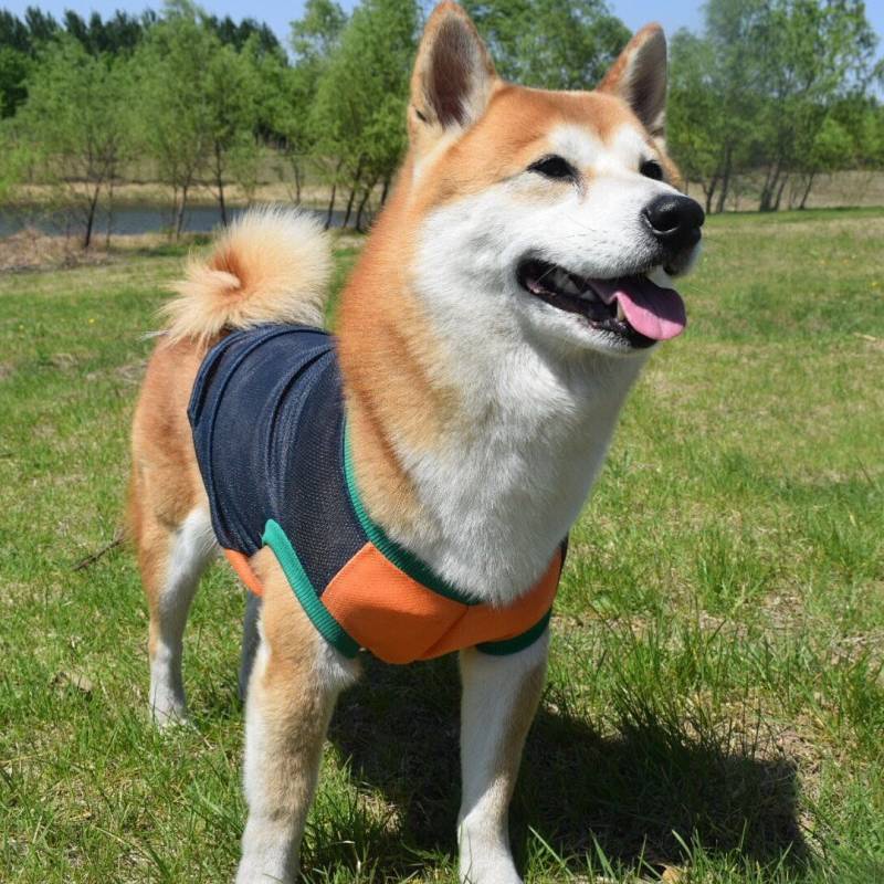 Summer New Dog Anti-Lint Cool Mesh Vest Shiba Inu Akita Pastoral Golden Retriever Samo Husky Clothes YSKl #5
