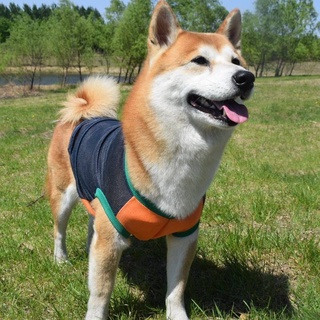 Summer New Dog Anti-Lint Cool Mesh Vest Shiba Inu Akita Pastoral Golden Retriever Samo Husky Clothes YSKl #5