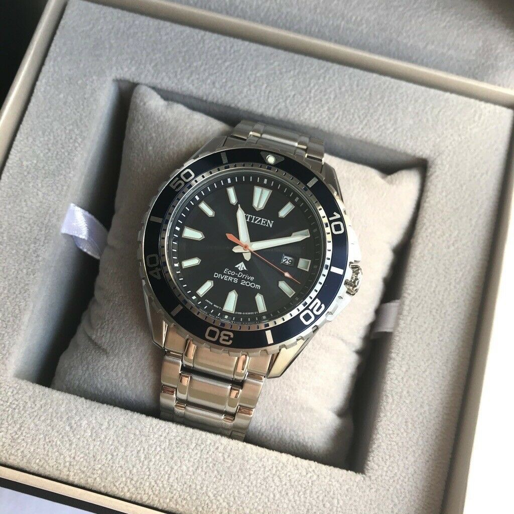 citizen marine diver