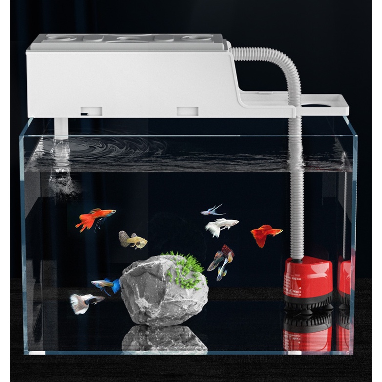 Fish Tank Upper Filter Box Aquarium External Filter Box Water