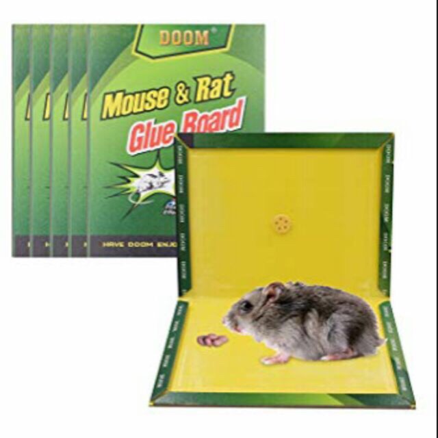 mouse glue traps effectiveness