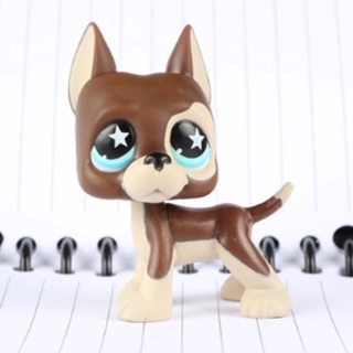 ✈✹Original 1pc LPS cute toys Lovely Pet shop animal Chocolate Chihuahua Dog Blue eyes action figure