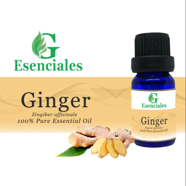 Ginger Essential Oil Shopee Philippines