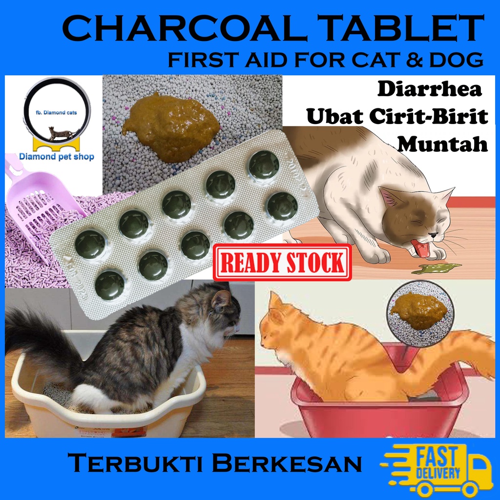 Vomiting Birit Medicine Diarrhea Dog Cat Poisons (1 Seeds) X Cheapxxx