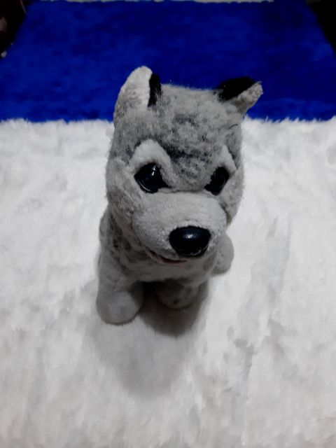 Blue Magic Husky Stuffed Toy | atelier-yuwa.ciao.jp