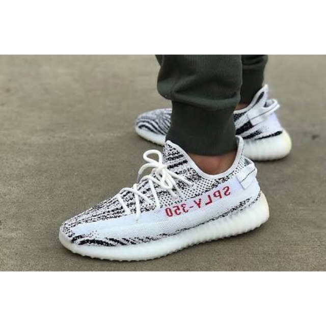 sply 350 zebra