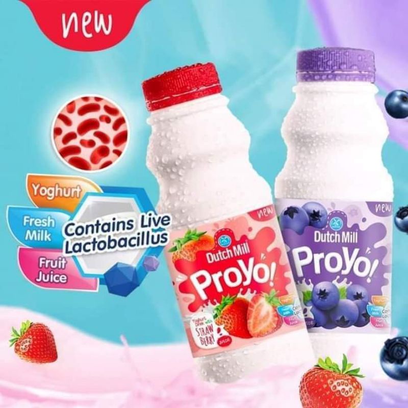Dutch mill Proyo Yogurt Drink Shopee Philippines