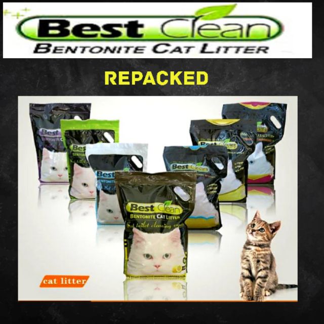 best clean cat litter