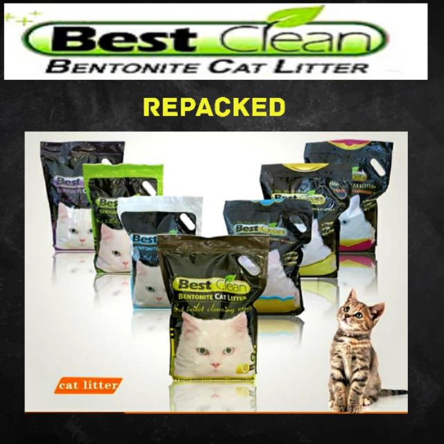 easiest way to clean cat litter