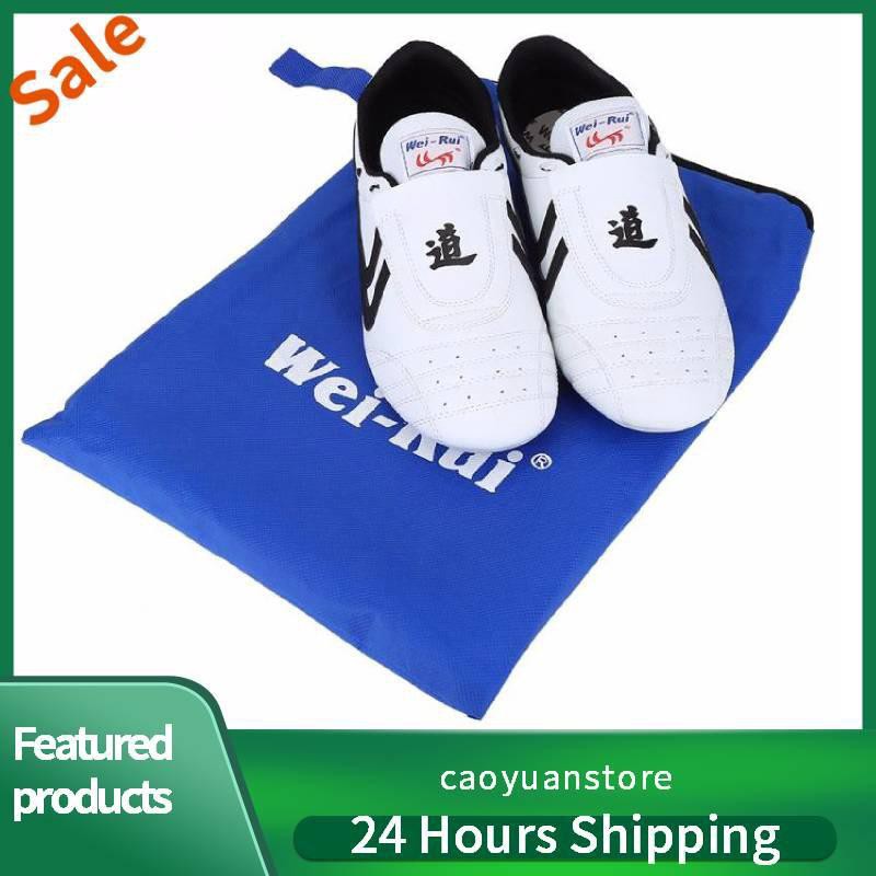 kung fu shoes for sale