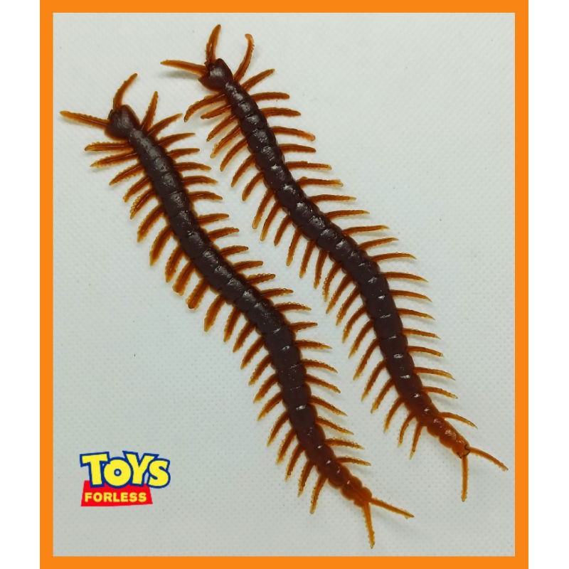 centipede toy