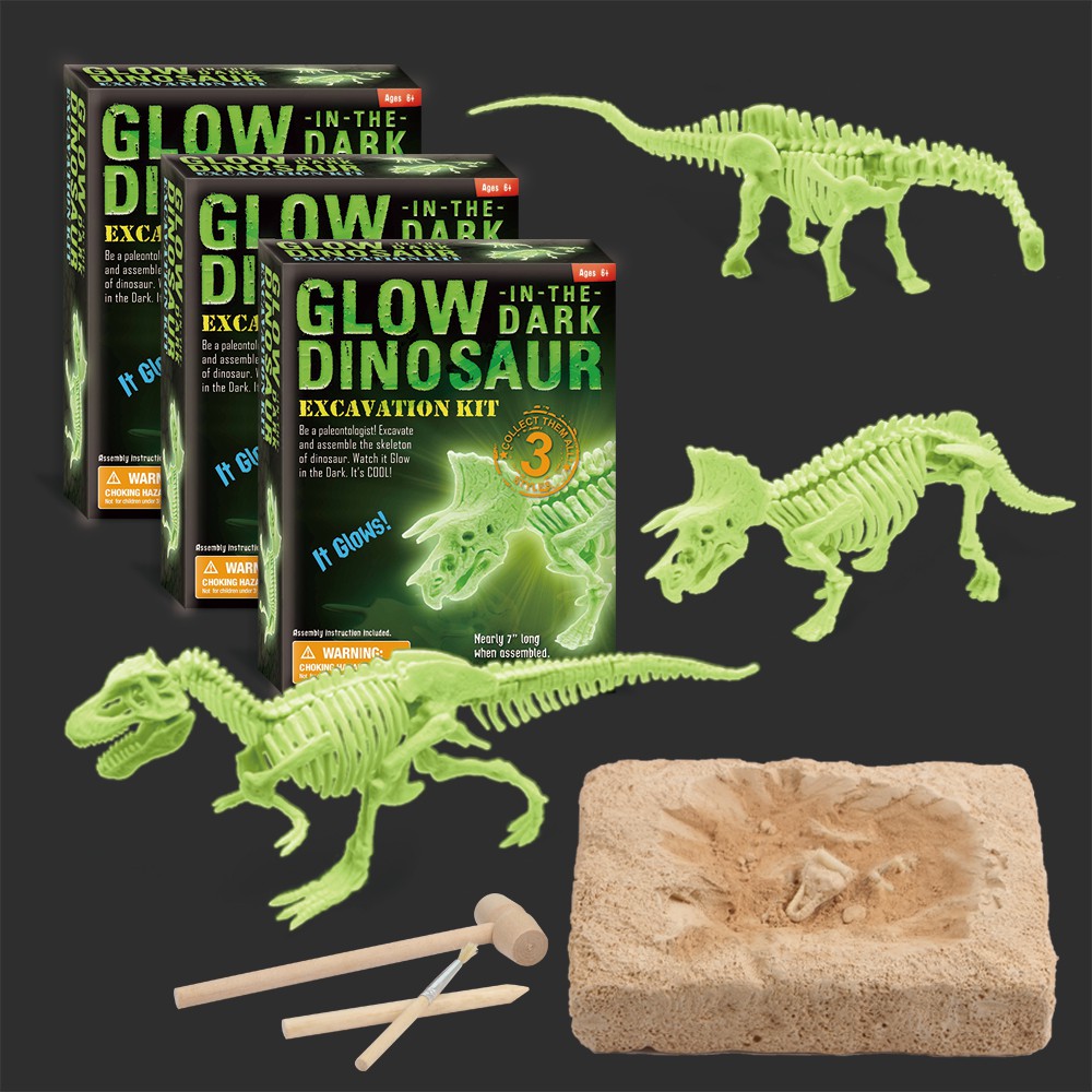 paleontology kit