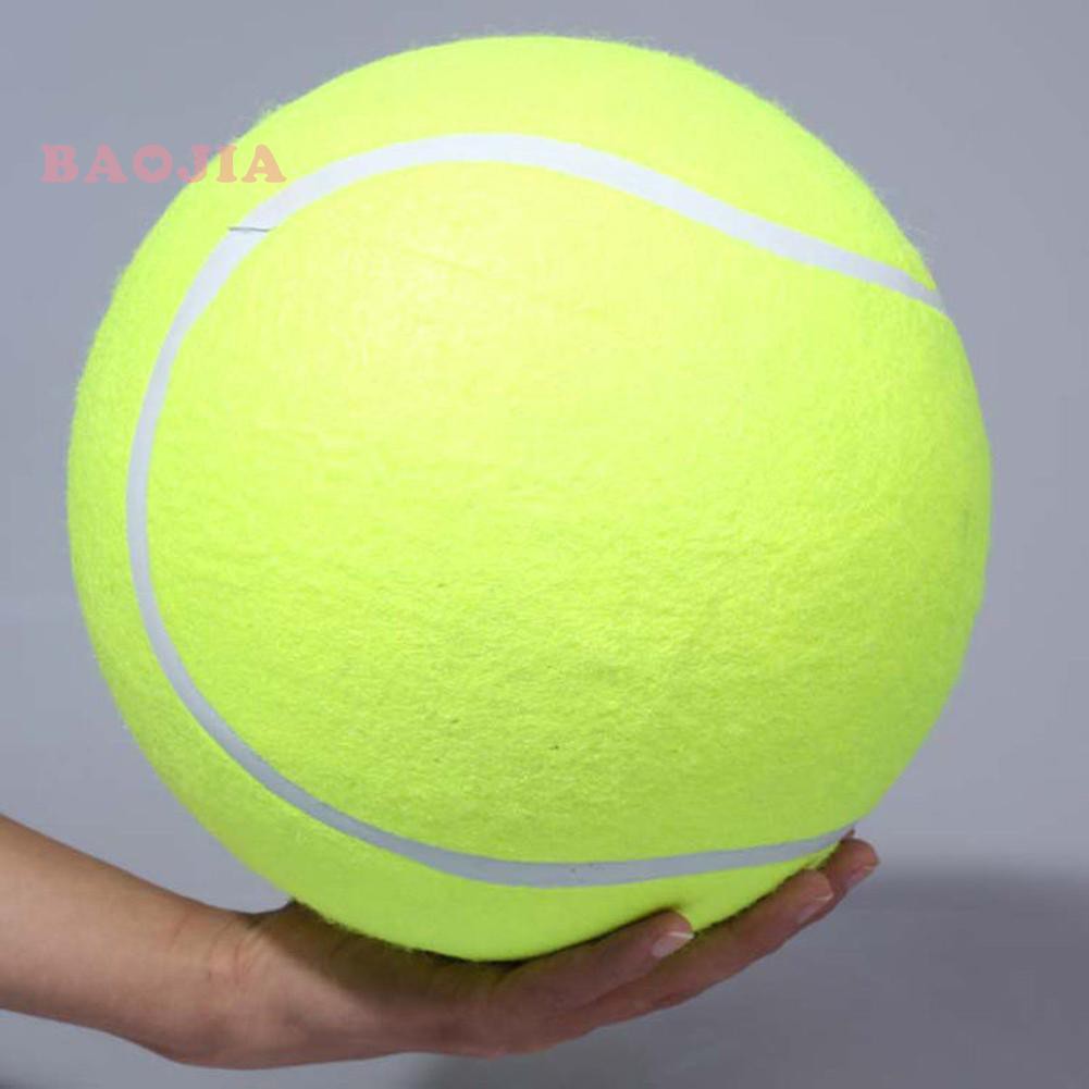 tennis ball dog toy