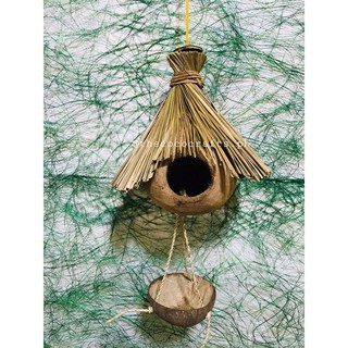 Bird house cogon with Feeder (1 Hole). #1