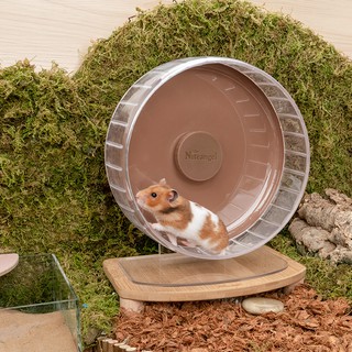 hamster wheel price