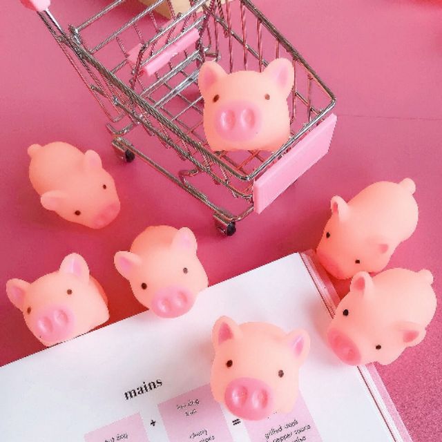 cute pig squishy