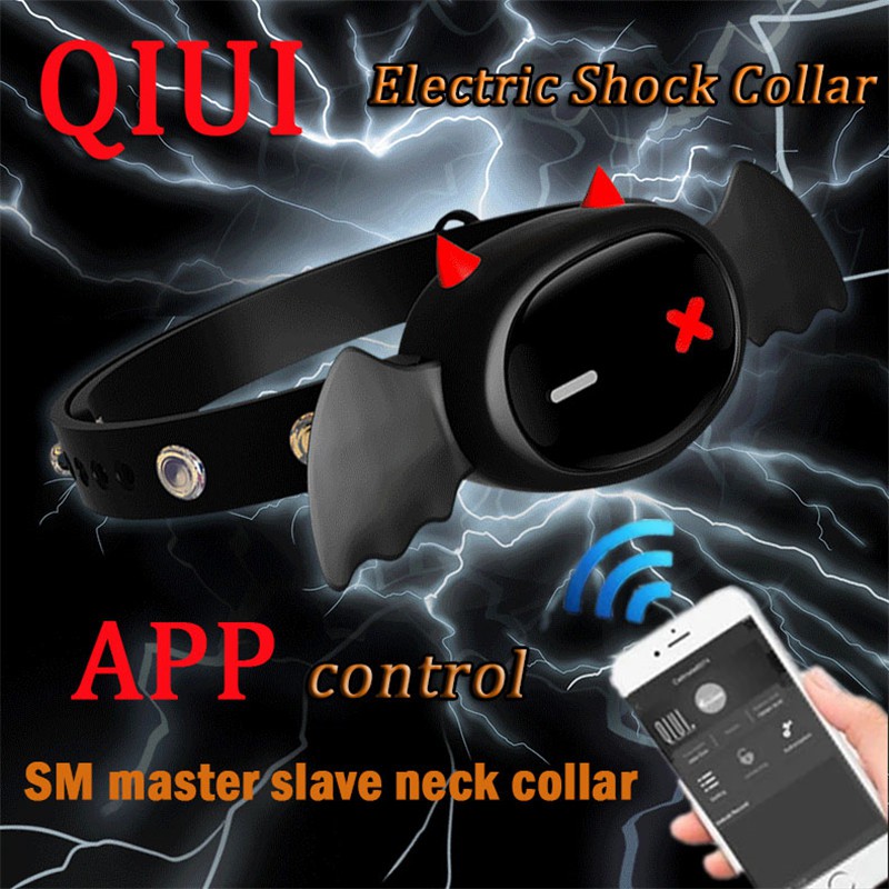 Shock Collar Slave