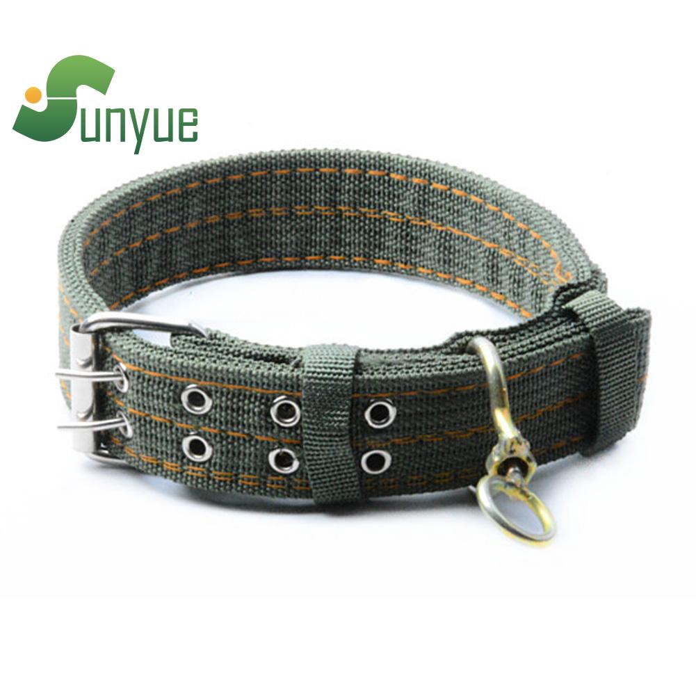 outdoor dog collars