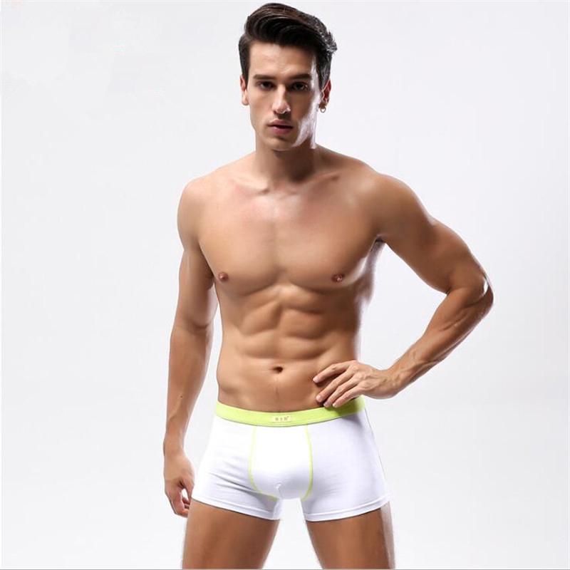 big mens cotton boxer shorts