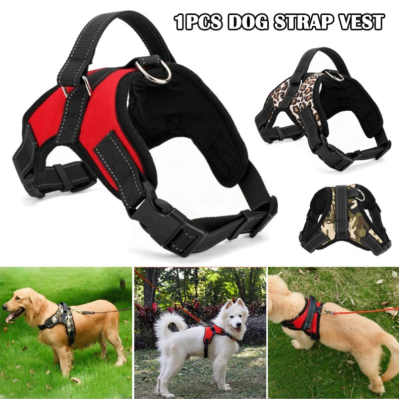 heavy duty dog collars and leashes