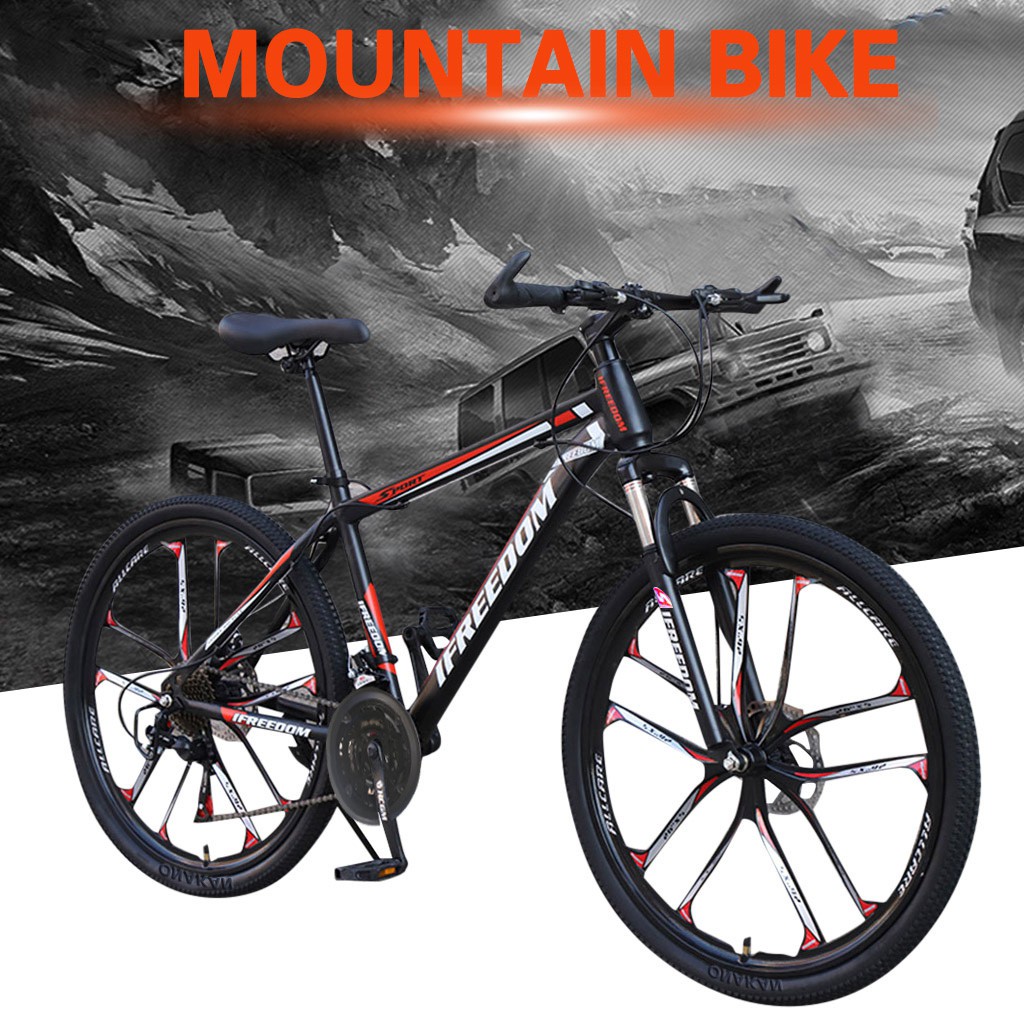 21 speed mountain bike