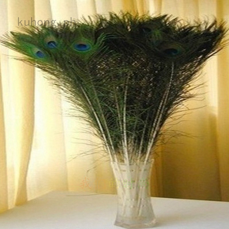 Peacock Feathers Peacock Eye Feathers Diy Party Decoration