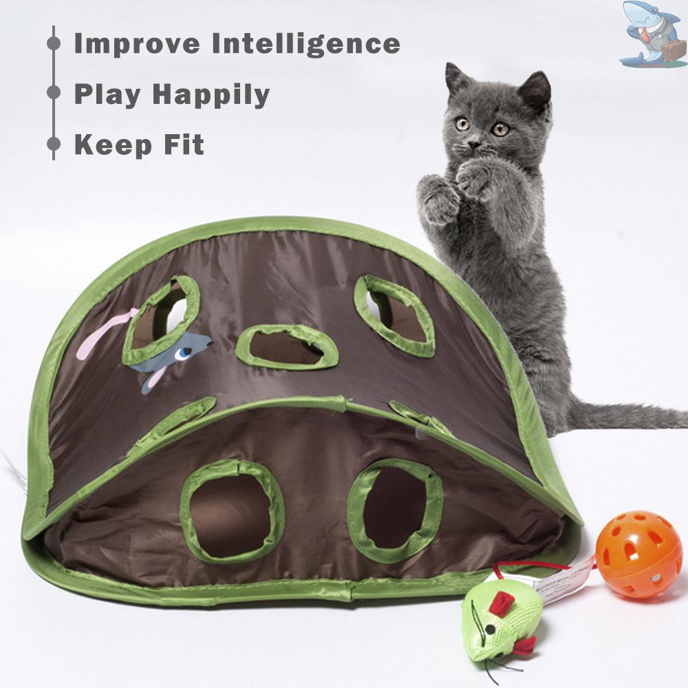 hide and seek cat toy