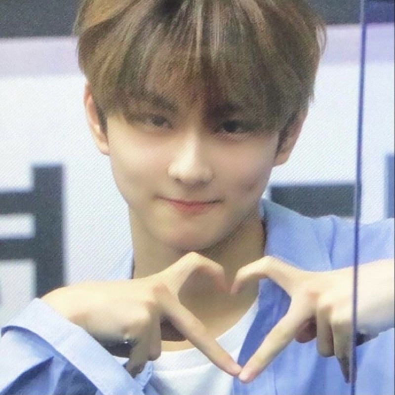 enhypen official photocards | Shopee Philippines