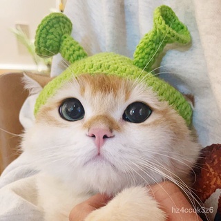 ✯COD Pet Hat Cat Headgear Dog Dress Spring Ruffle Young Wool Knitted British Shorthair Cute Photogra