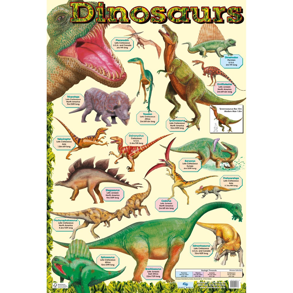 Laminated Dinosaur Chart (A4) Shopee Philippines