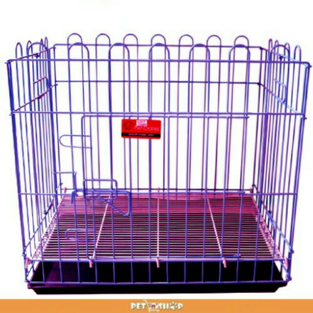 black white boxer dog