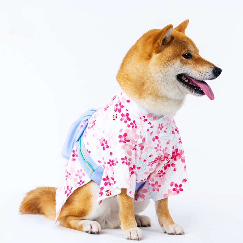 Medium Sized Dog Shirts atelieryuwa.ciao.jp