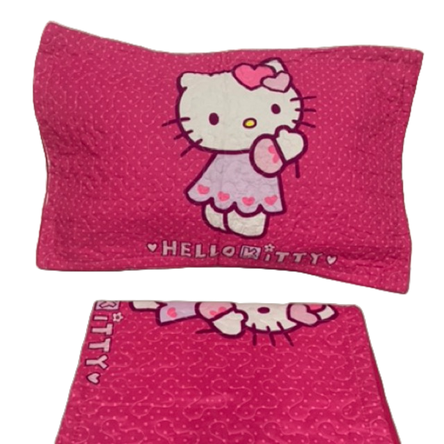 JAN30 PAYDAY SalePunda Hello KittyPillow casePillow CoverOriginal