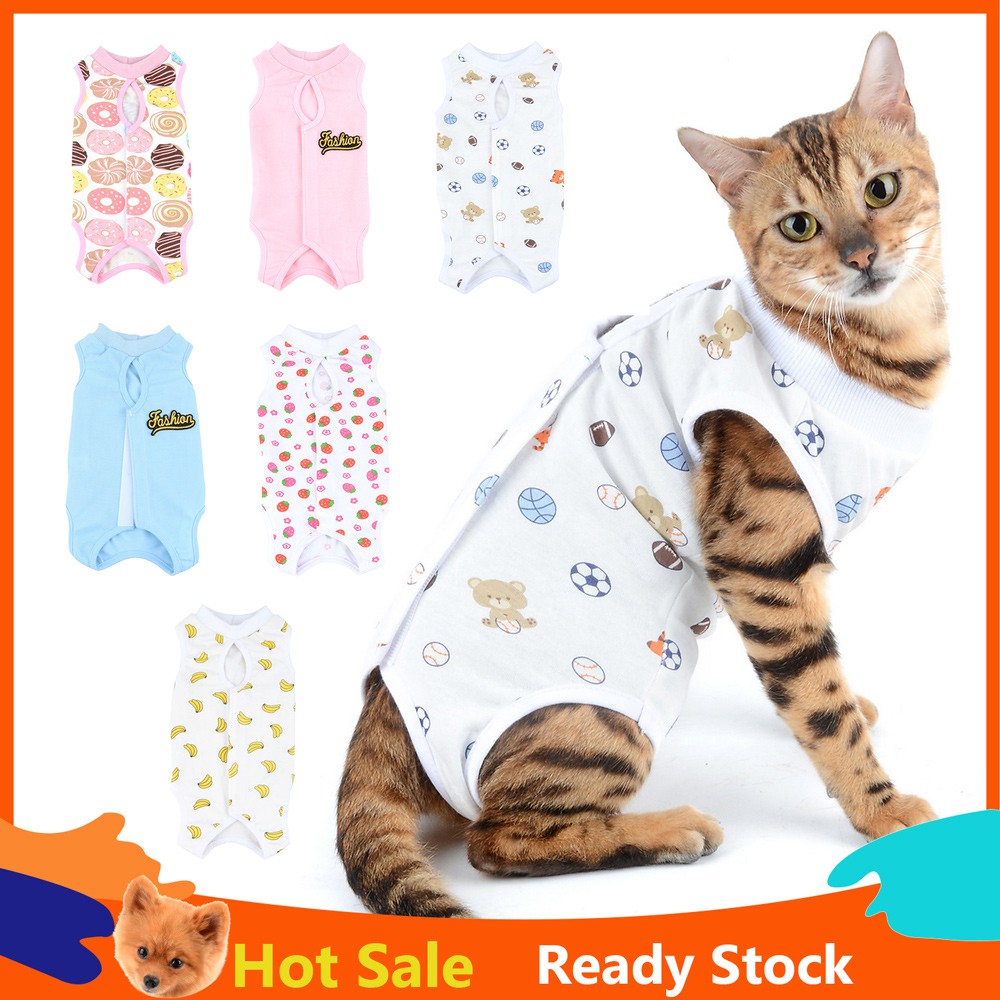 Surgery Weaning DomKim Cat Professional Recovery Suit with Anti Licking for Abdominal Wounds or Skin Diseases Indoor Clothing E-Collar Alternative for Cats/Dogs After Sterilization 