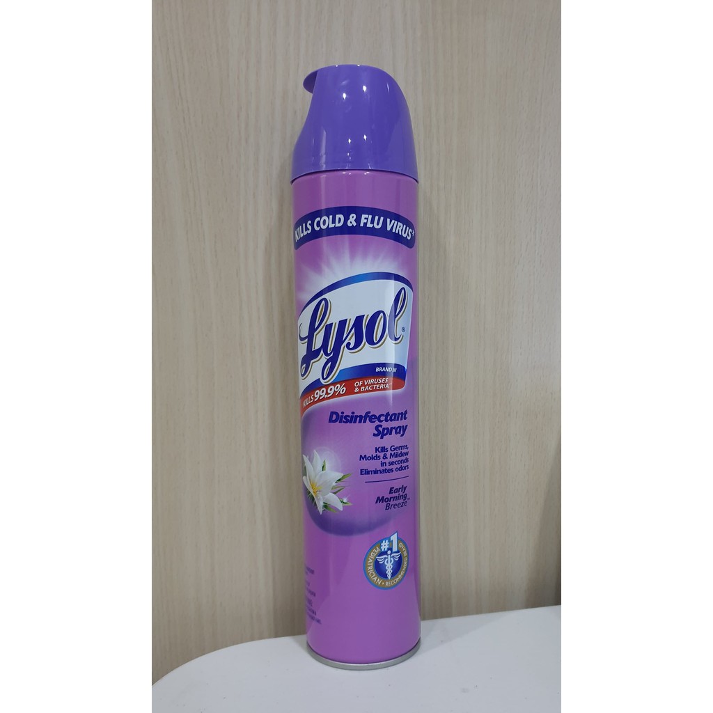 Lysol Disinfectant Spray Early Morning Breeze 510g Shopee Philippines 9516