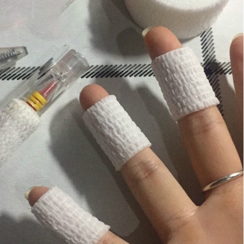 Essay protector image