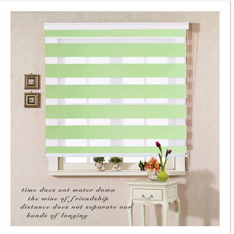 Curtain Roll Up Blinds Combi Blinds Duo Roller Blinds Shopee Philippines