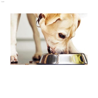 ☄Petsmed PROBIO CARE Pet Defense - Probiotics Feed Powder