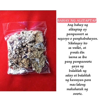 BAHAY NG ALITAPTAP | pamapswerte sa pera | Shopee Philippines