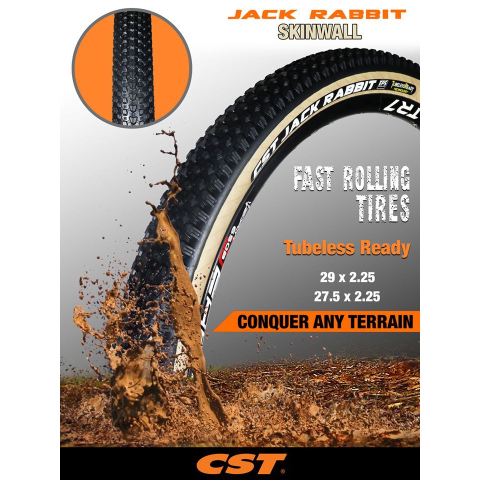 cst pika gravel tire 700x42