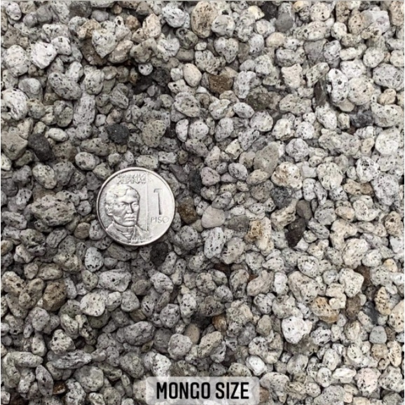 Pumice Stones for your Plants (Mongo size) Shopee Philippines